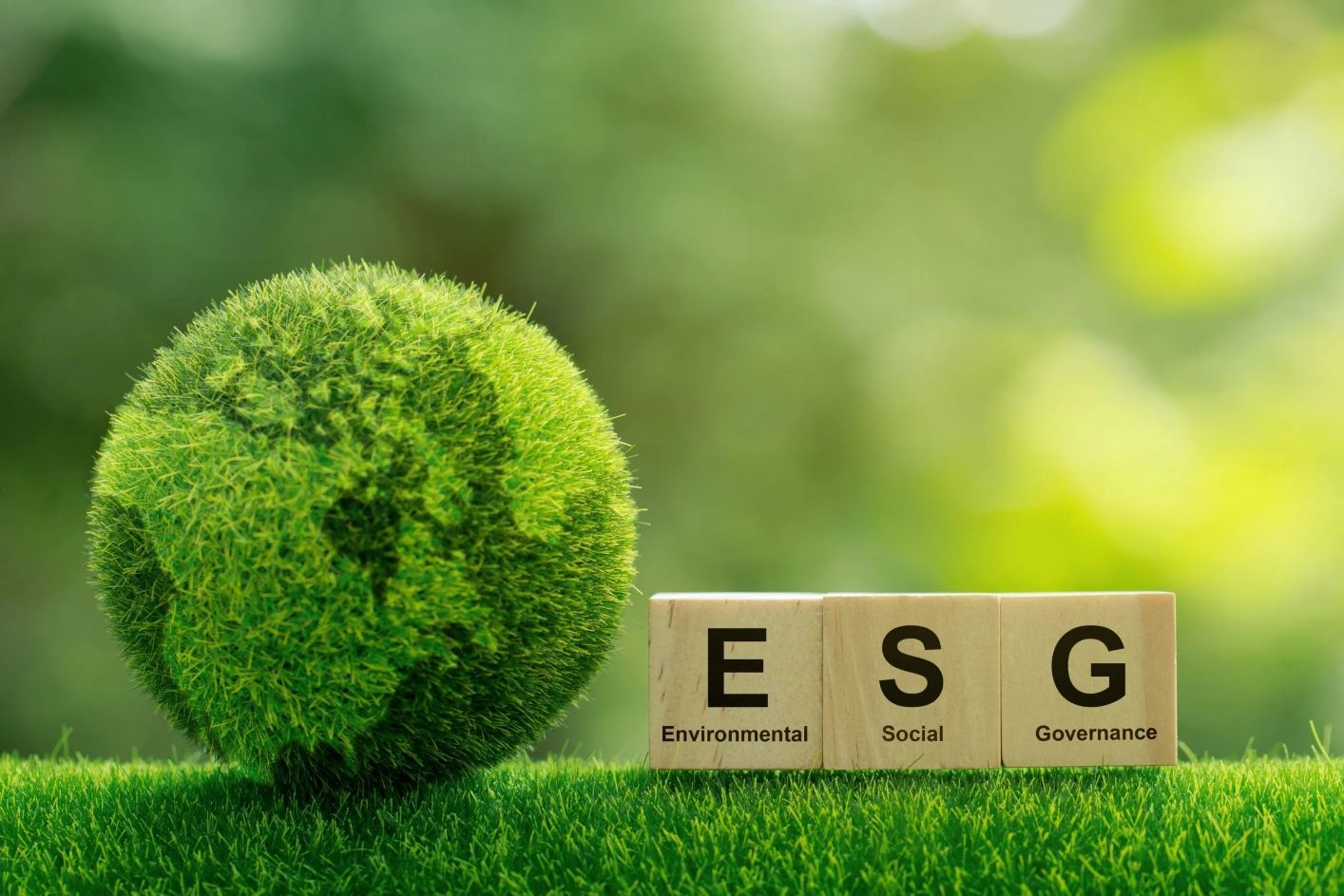 Sustainability, Carbon Markets & ESG Fundamentals for Business Leaders